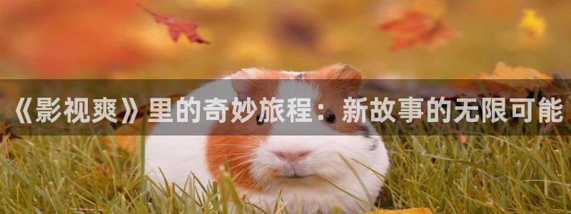 青丝影院高清版在线观看