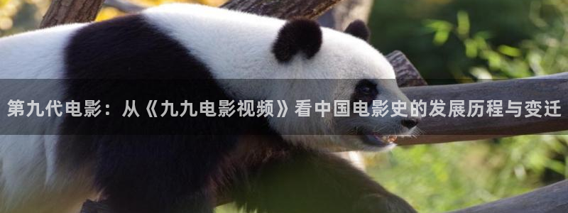 青丝影院免费观看电视剧