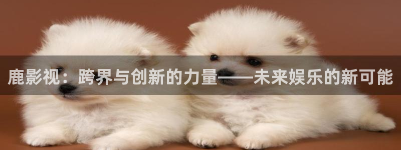 青丝影院视频在线播放